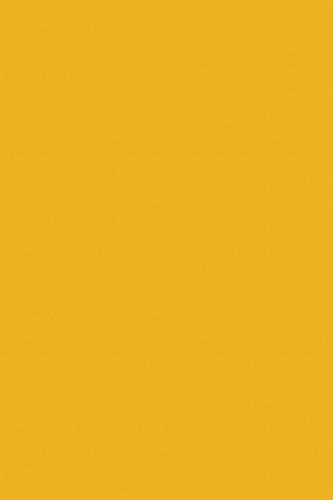Y242 - Yellow