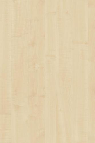 Y463 - European Maple